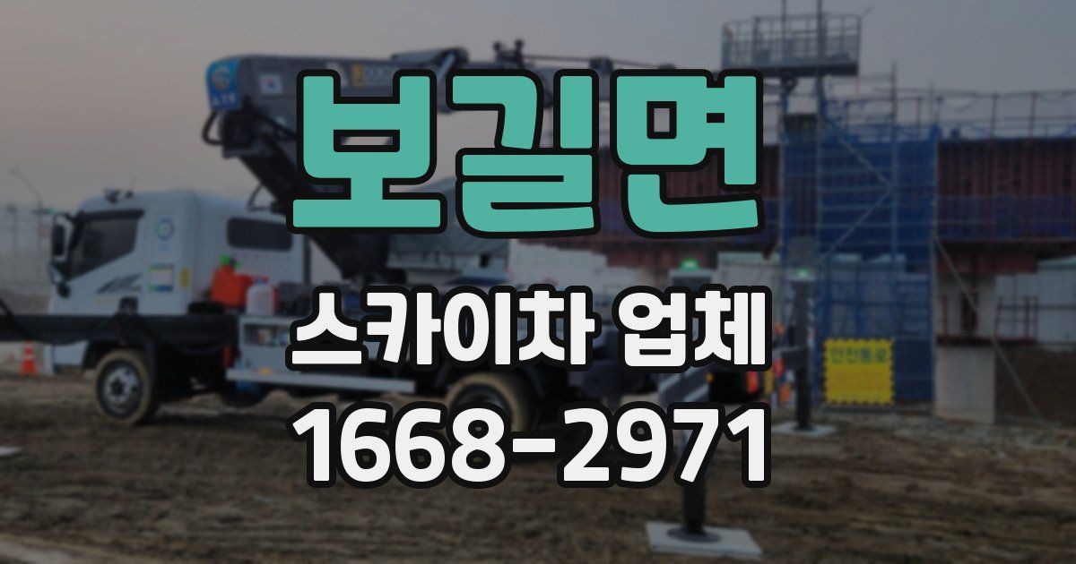 보길면 스카이차 업체