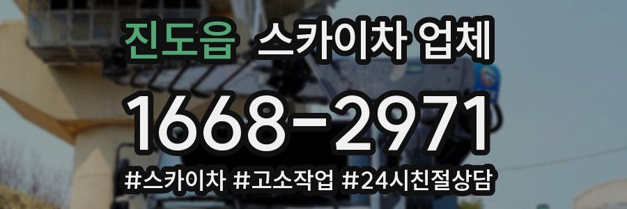 진도읍 스카이차 업체