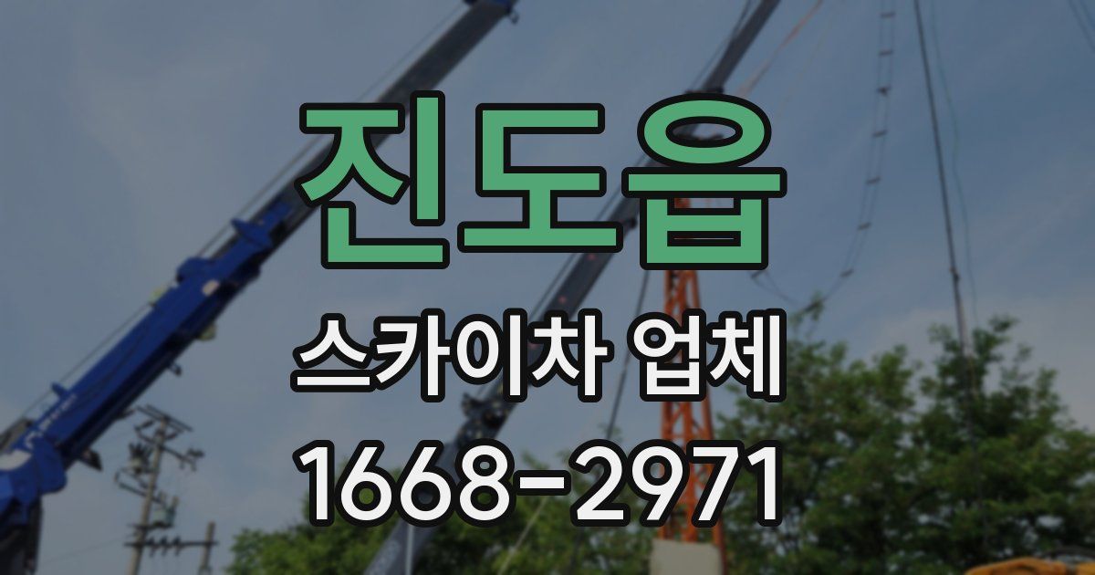진도읍 스카이차 업체