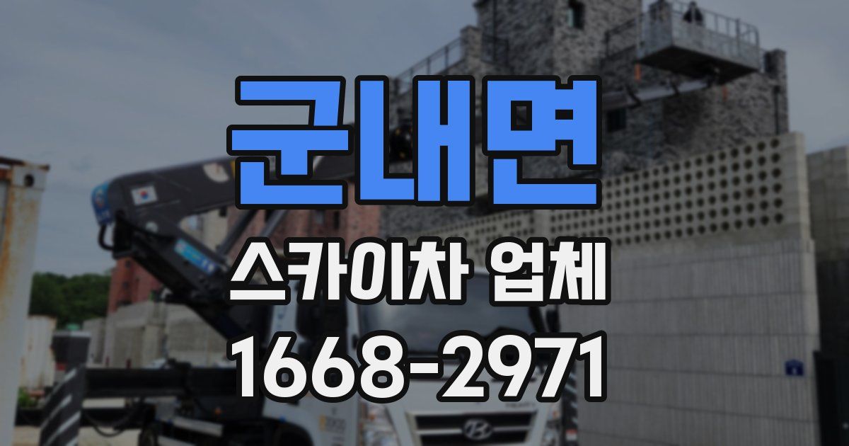 군내면 스카이차 업체