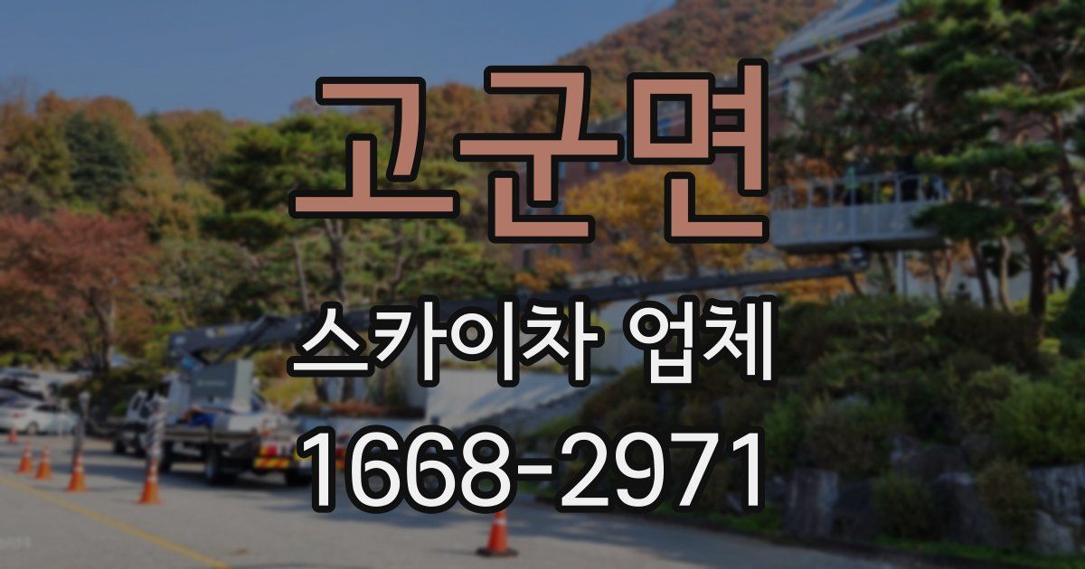 고군면 스카이차 업체