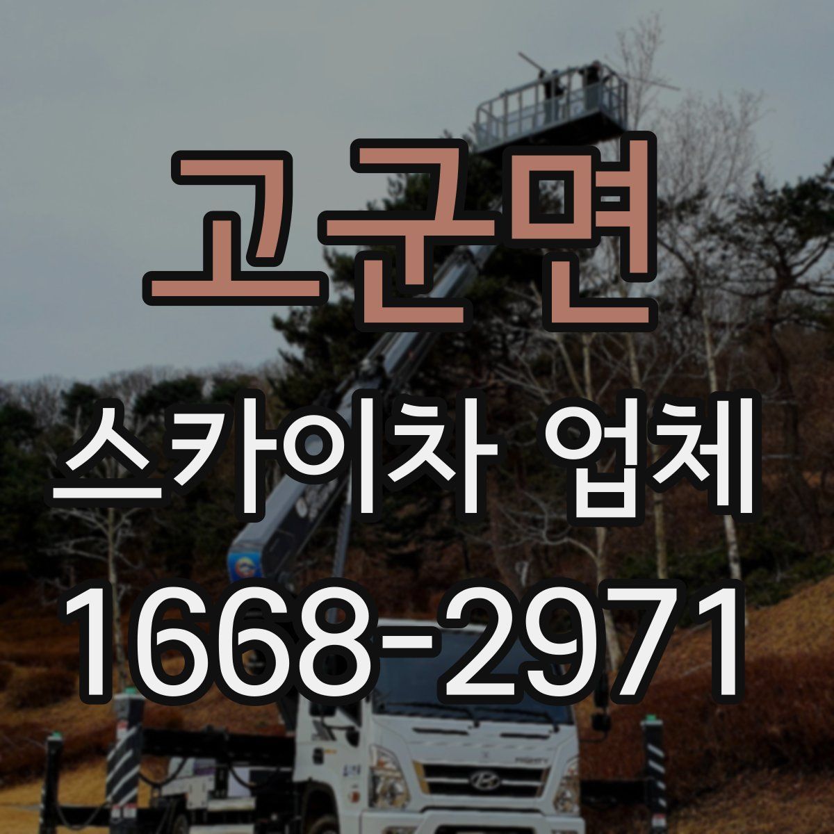 고군면 스카이차 업체
