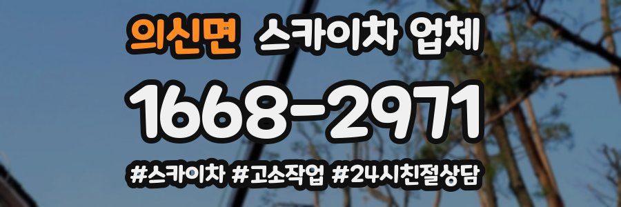 의신면 스카이차 업체