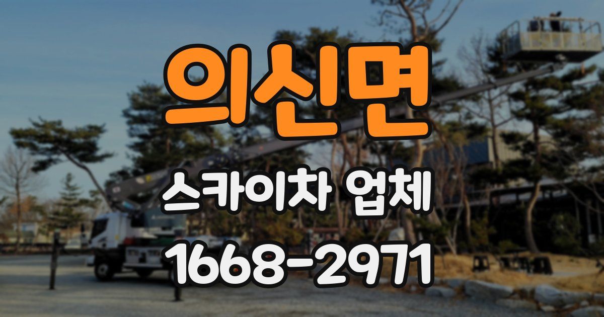 의신면 스카이차 업체