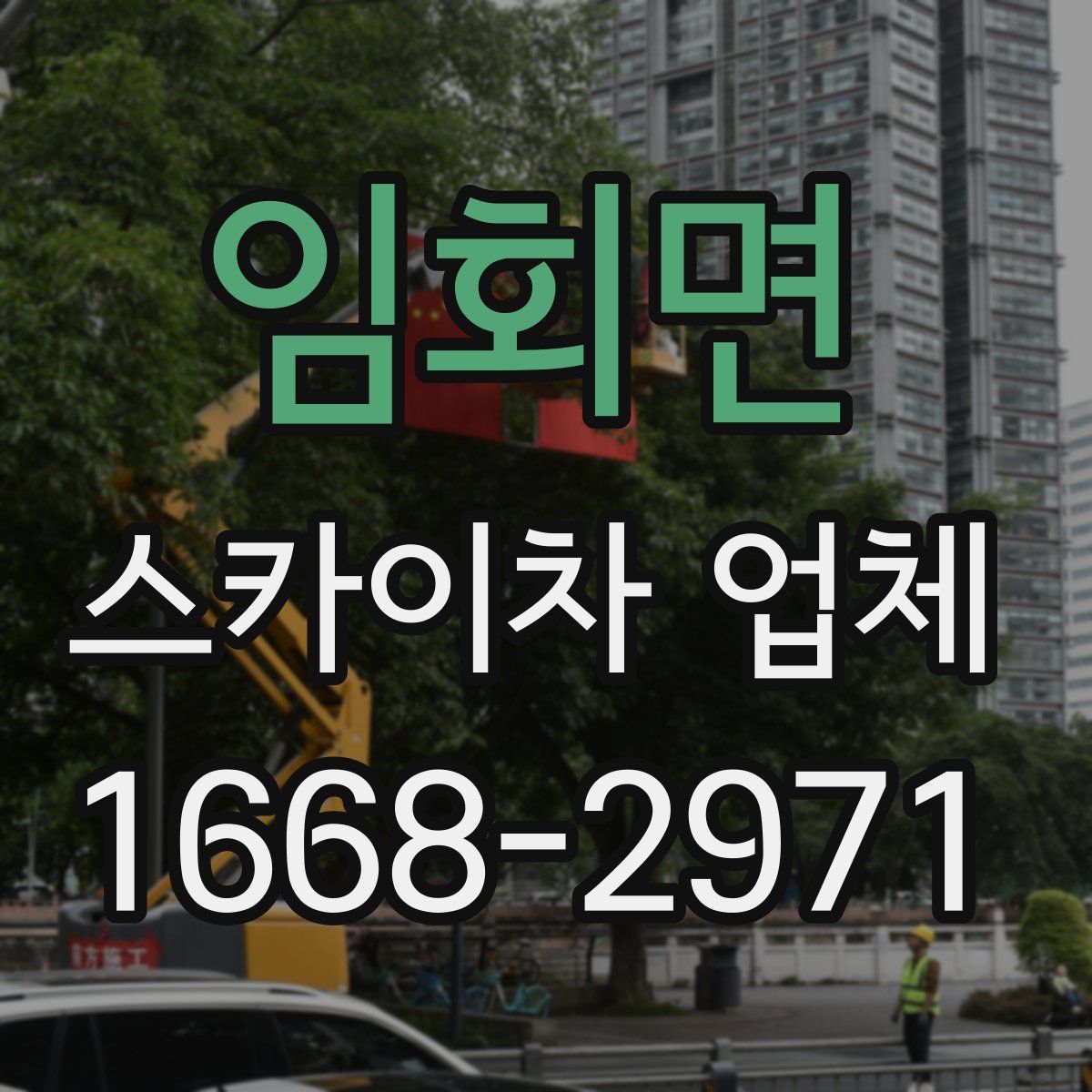 임회면 스카이차 업체
