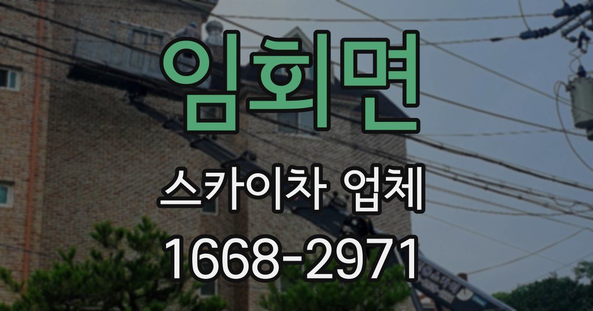 임회면 스카이차 업체