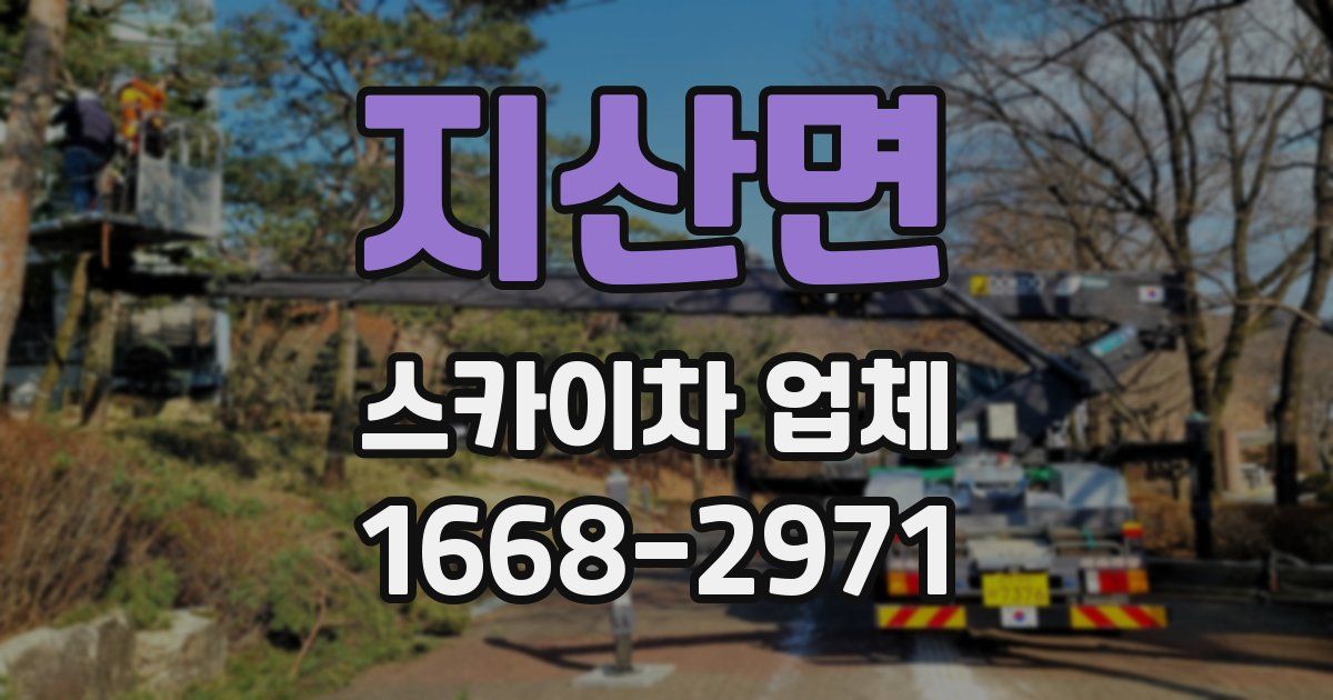 지산면 스카이차 업체