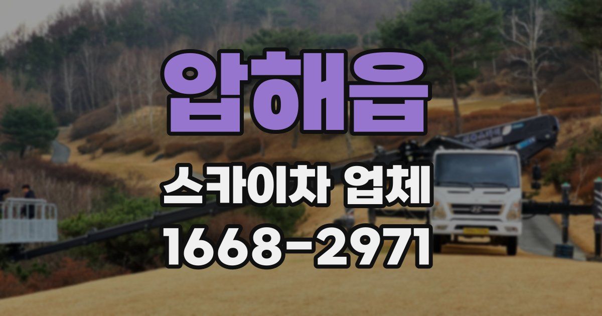 압해읍 스카이차 업체
