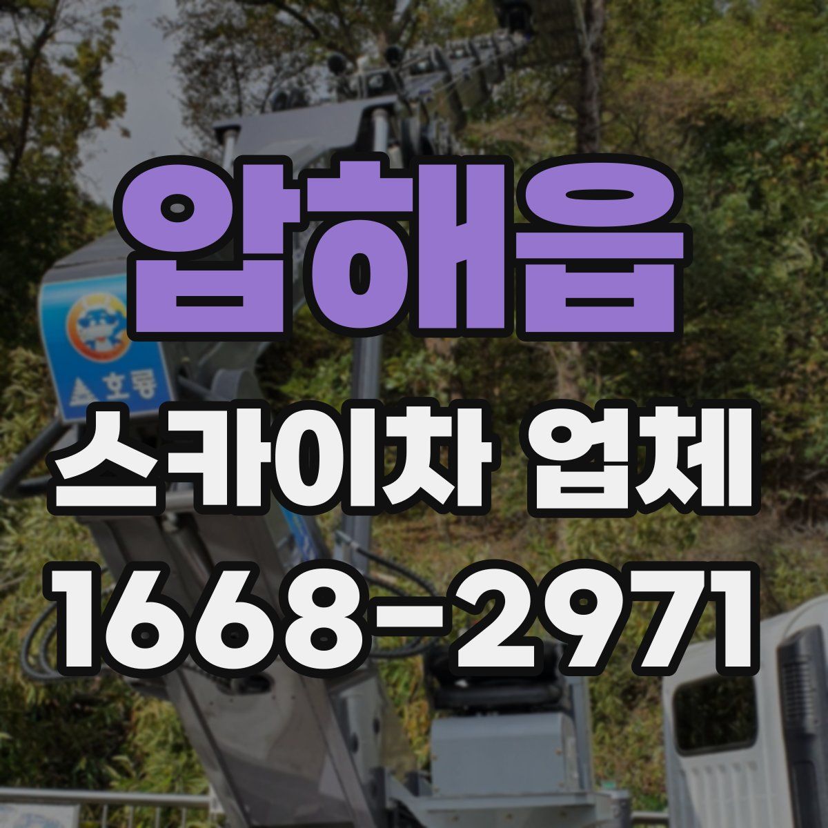 압해읍 스카이차 업체