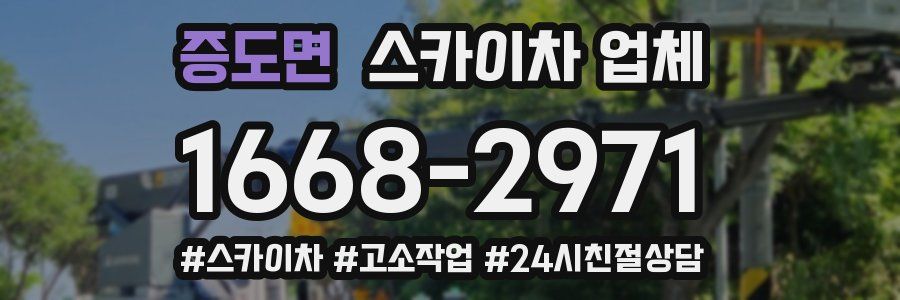 증도면 스카이차 업체