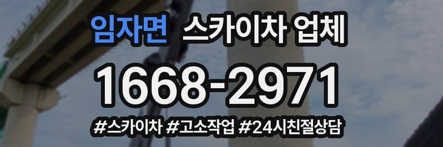 임자면 스카이차 업체