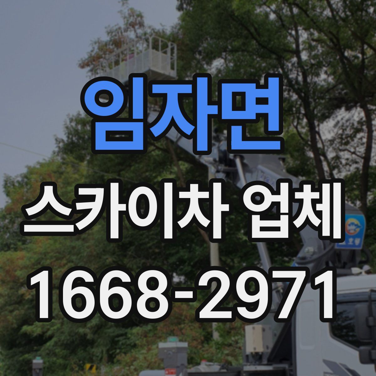 임자면 스카이차 업체