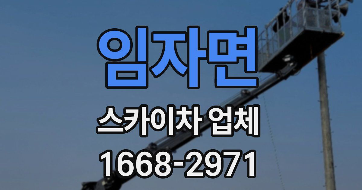 임자면 스카이차 업체