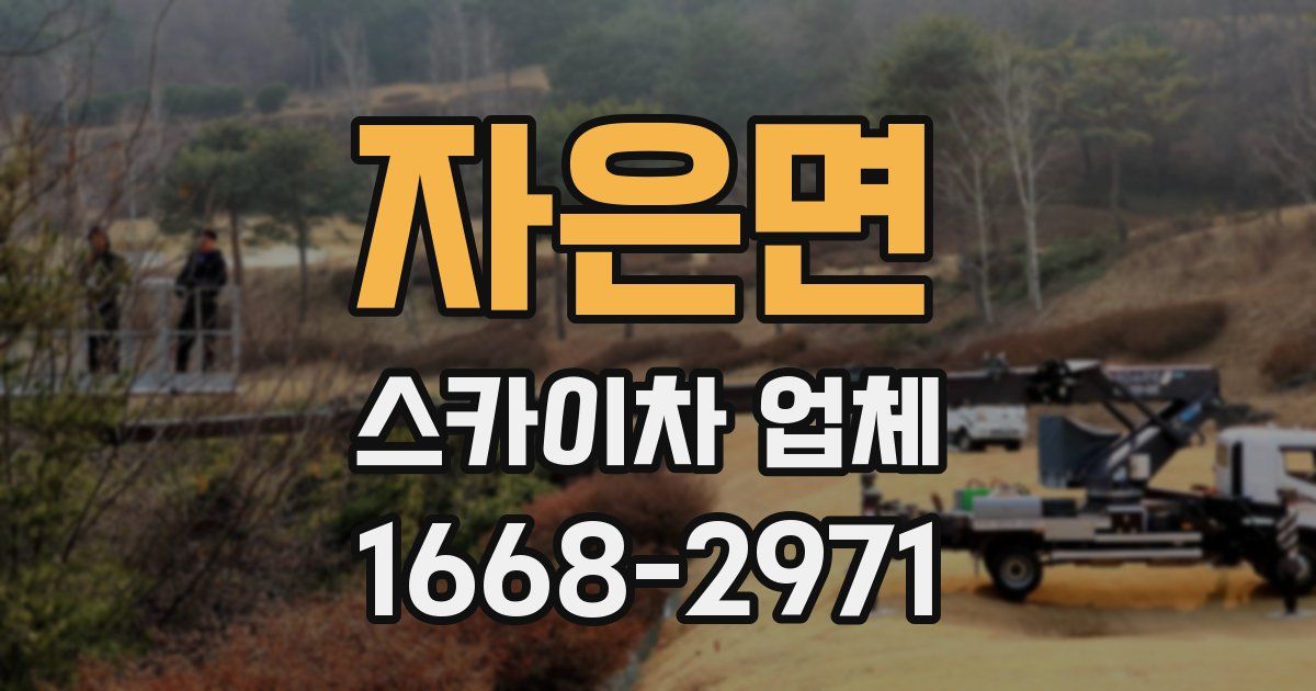 자은면 스카이차 업체