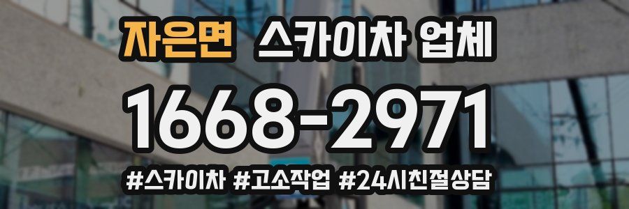 자은면 스카이차 업체
