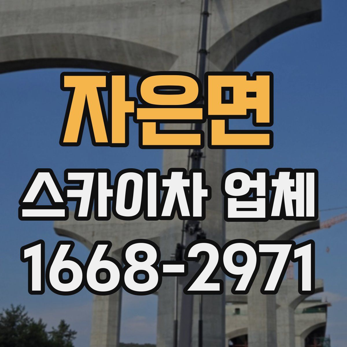 자은면 스카이차 업체