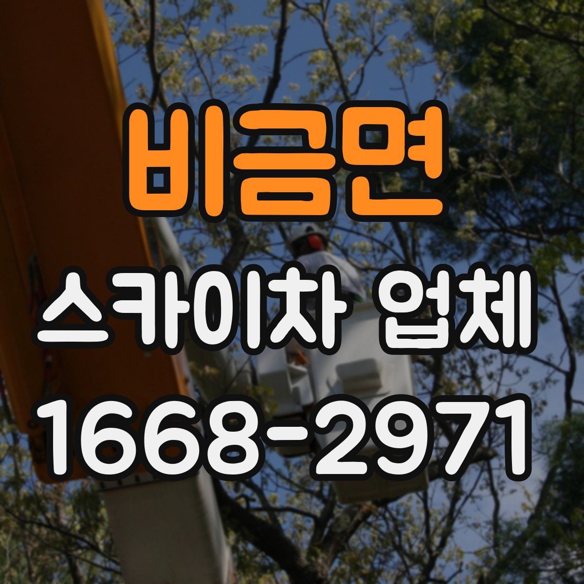 비금면 스카이차 업체