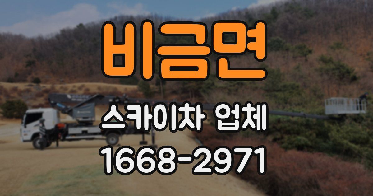 비금면 스카이차 업체