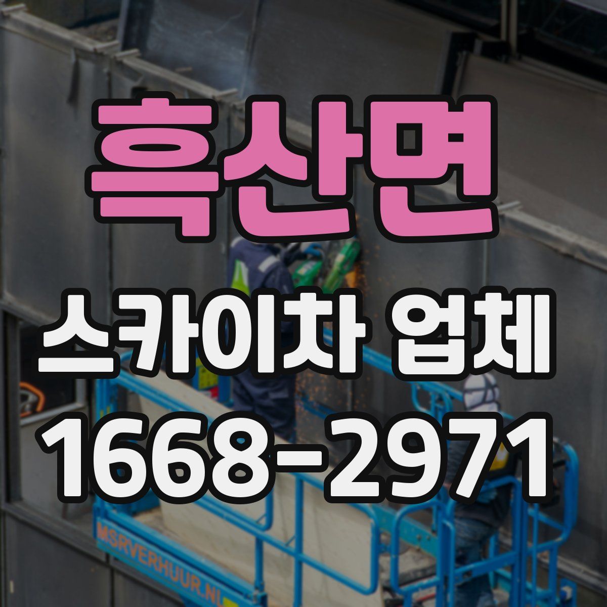 흑산면 스카이차 업체