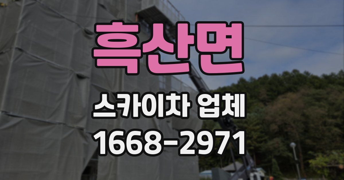 흑산면 스카이차 업체