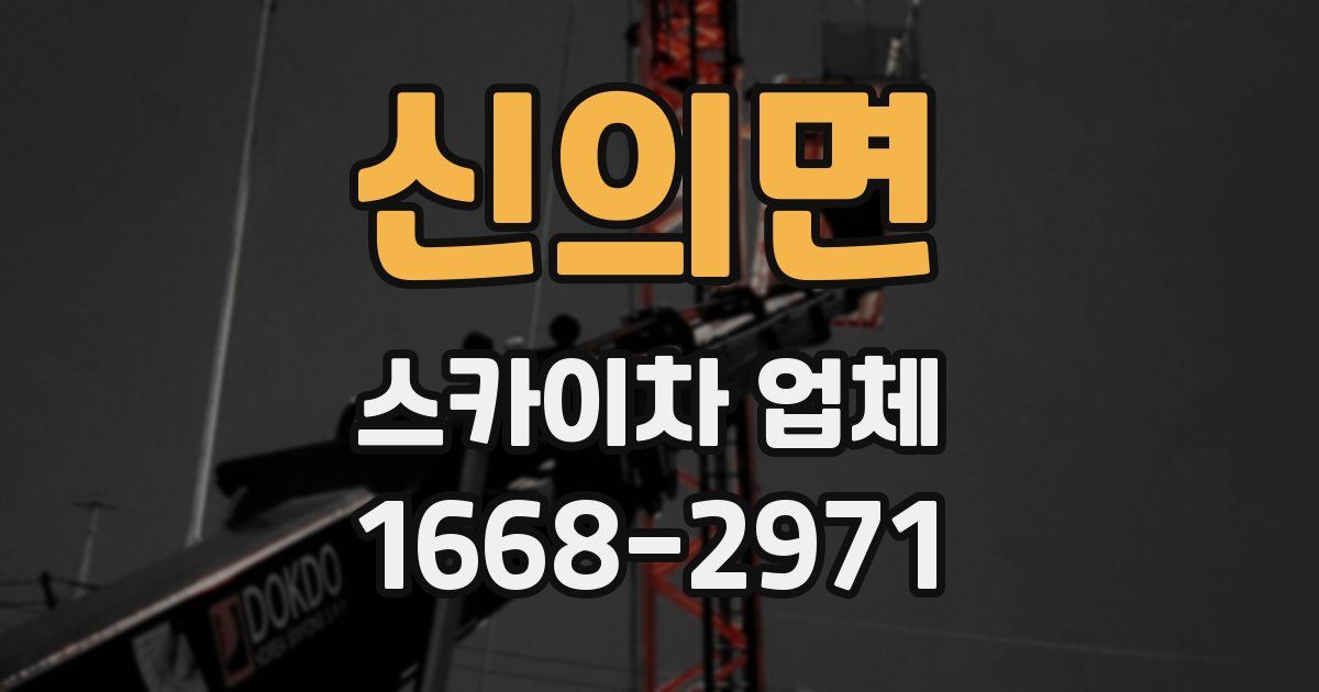 신의면 스카이차 업체