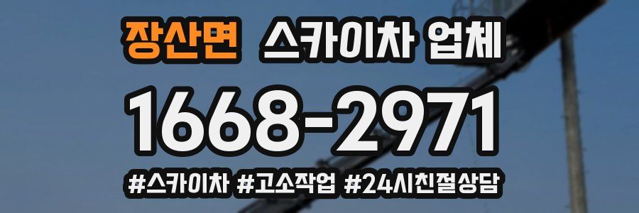 장산면 스카이차 업체