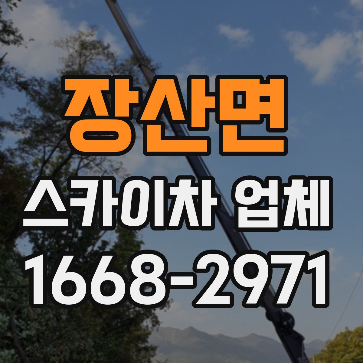 장산면 스카이차 업체