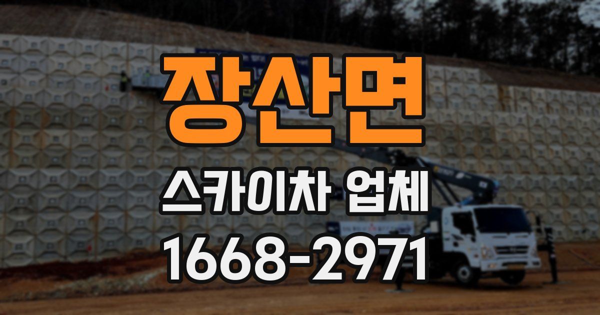장산면 스카이차 업체