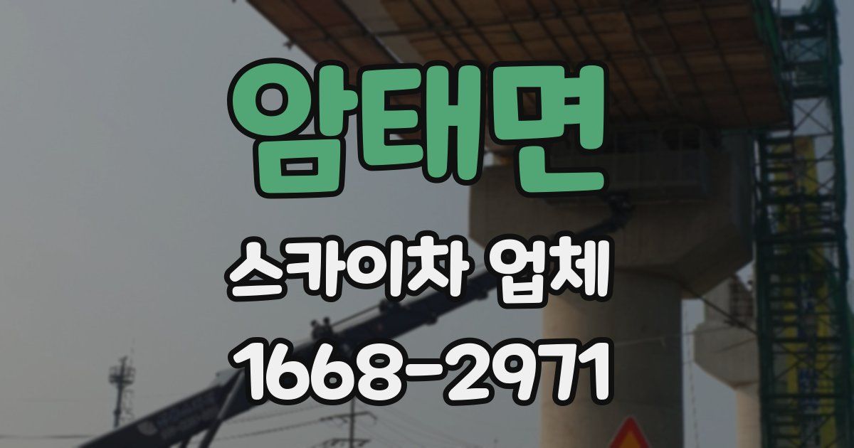 암태면 스카이차 업체