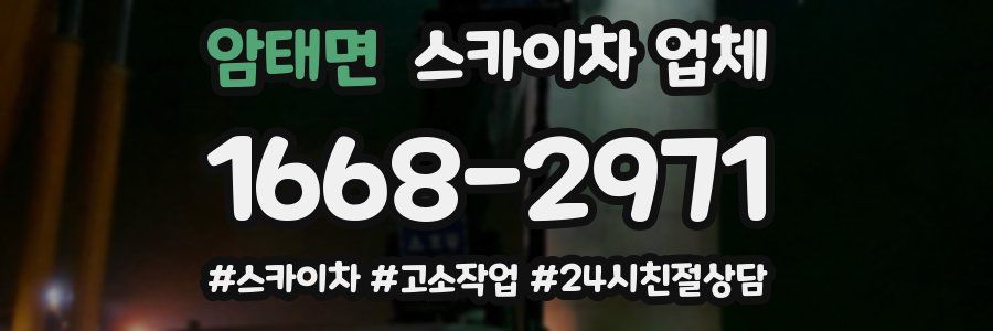 암태면 스카이차 업체