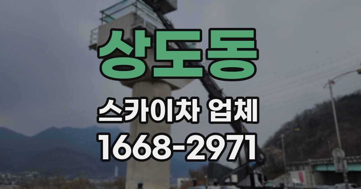 상도동 스카이차 업체