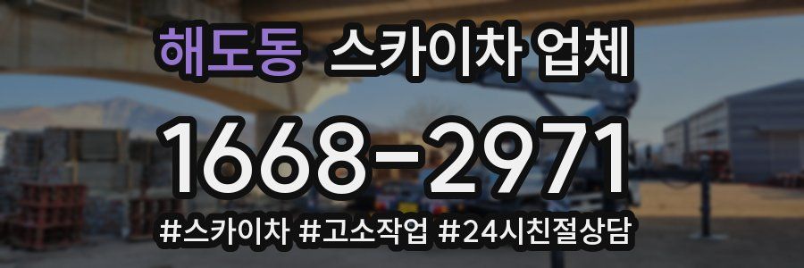 해도동 스카이차 업체