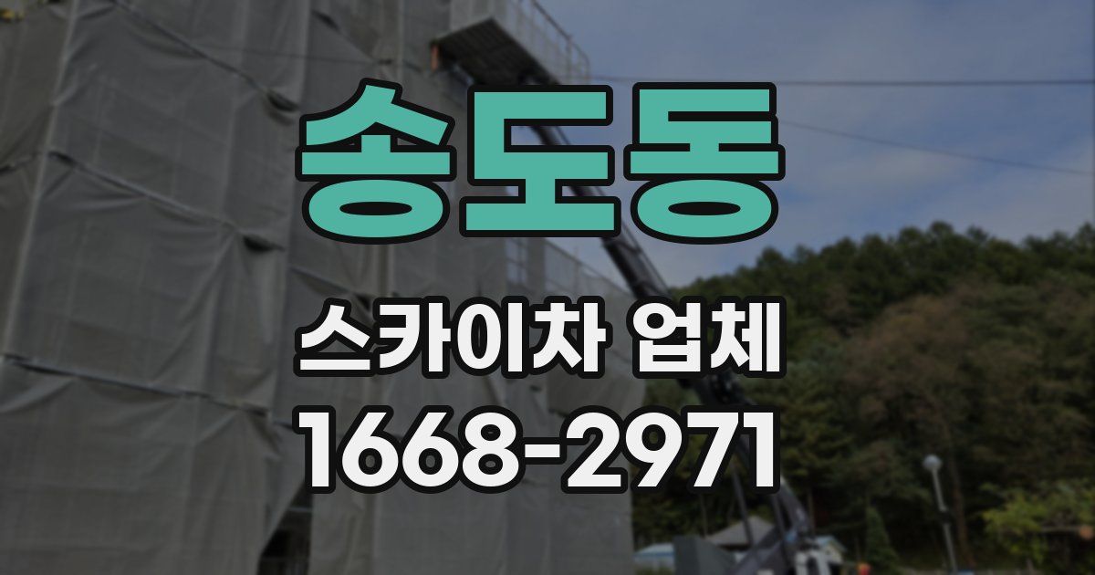 송도동 스카이차 업체
