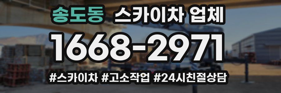 송도동 스카이차 업체