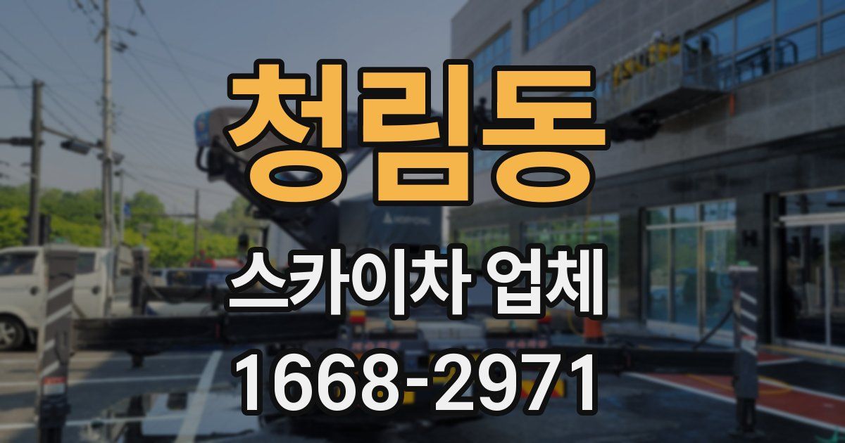 청림동 스카이차 업체