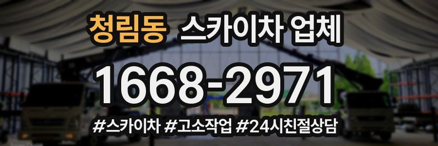 청림동 스카이차 업체
