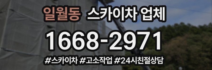 일월동 스카이차 업체