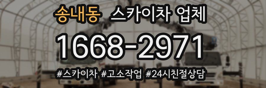 송내동 스카이차 업체