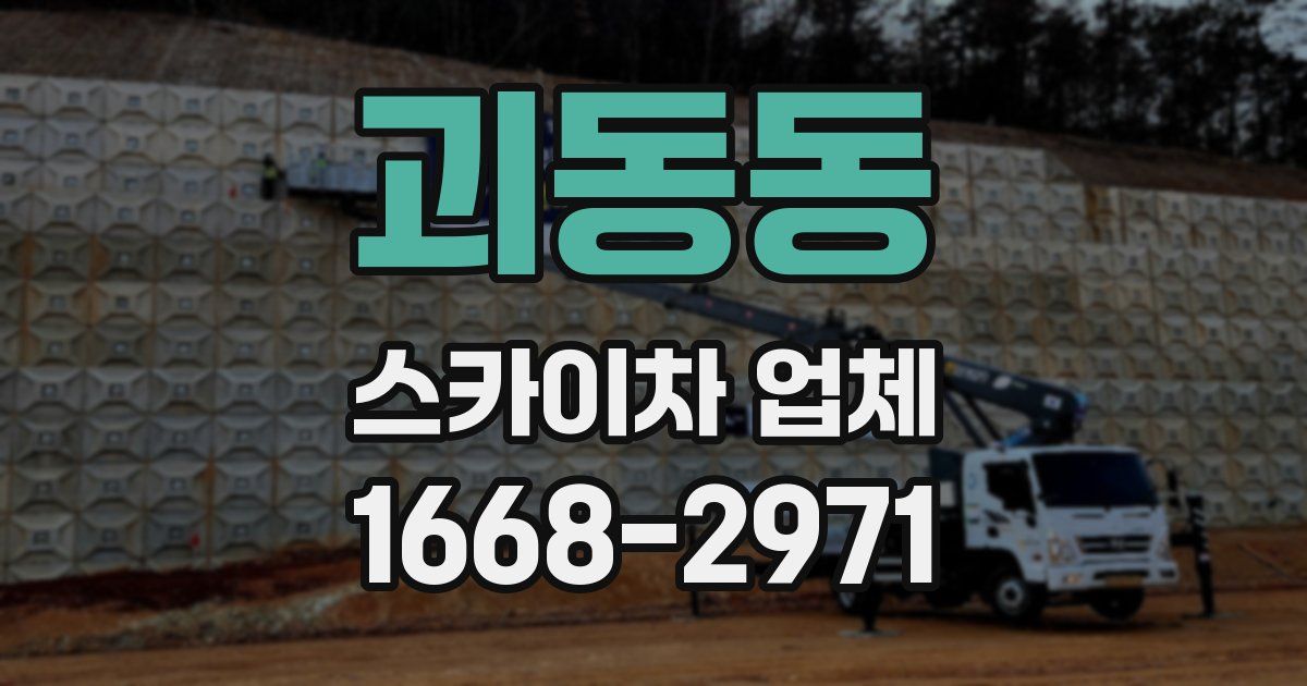 괴동동 스카이차 업체
