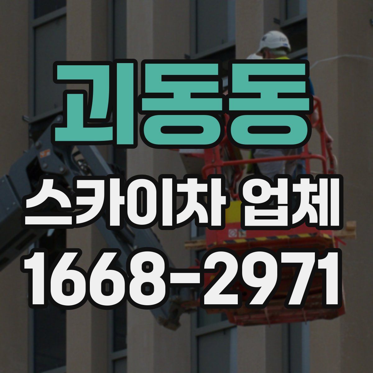 괴동동 스카이차 업체