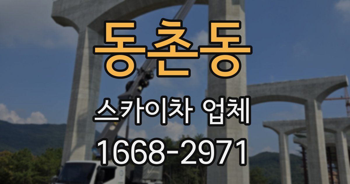 동촌동 스카이차 업체