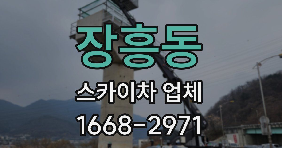 장흥동 스카이차 업체