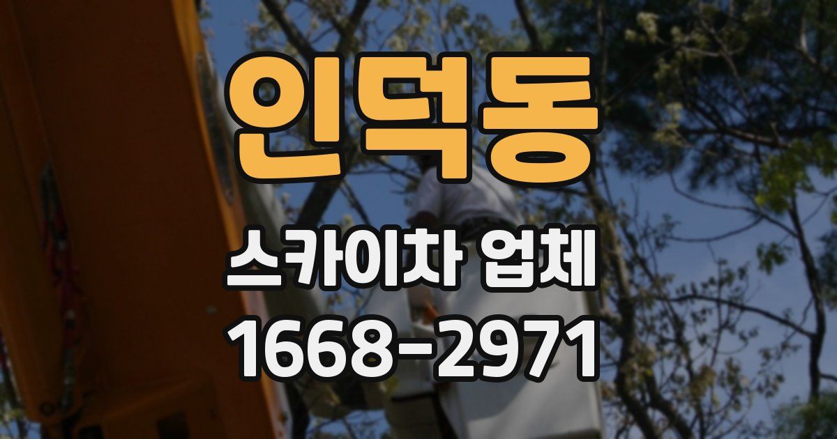 인덕동 스카이차 업체