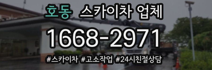 호동 스카이차 업체