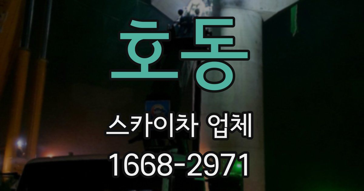 호동 스카이차 업체