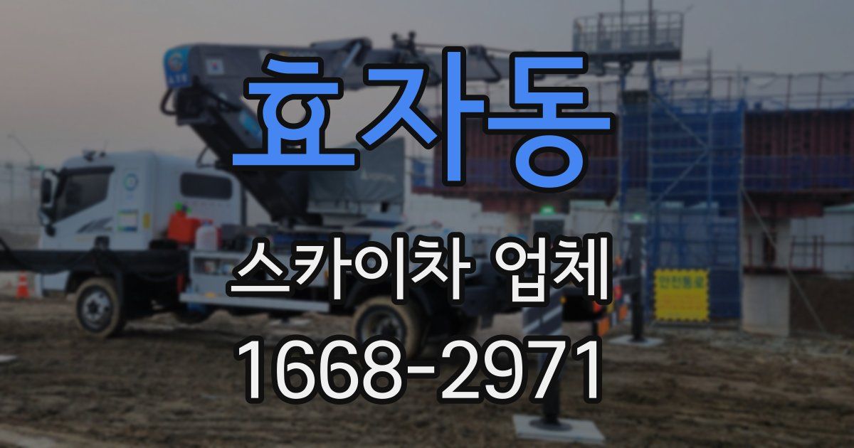효자동 스카이차 업체