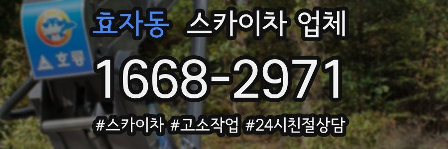 효자동 스카이차 업체