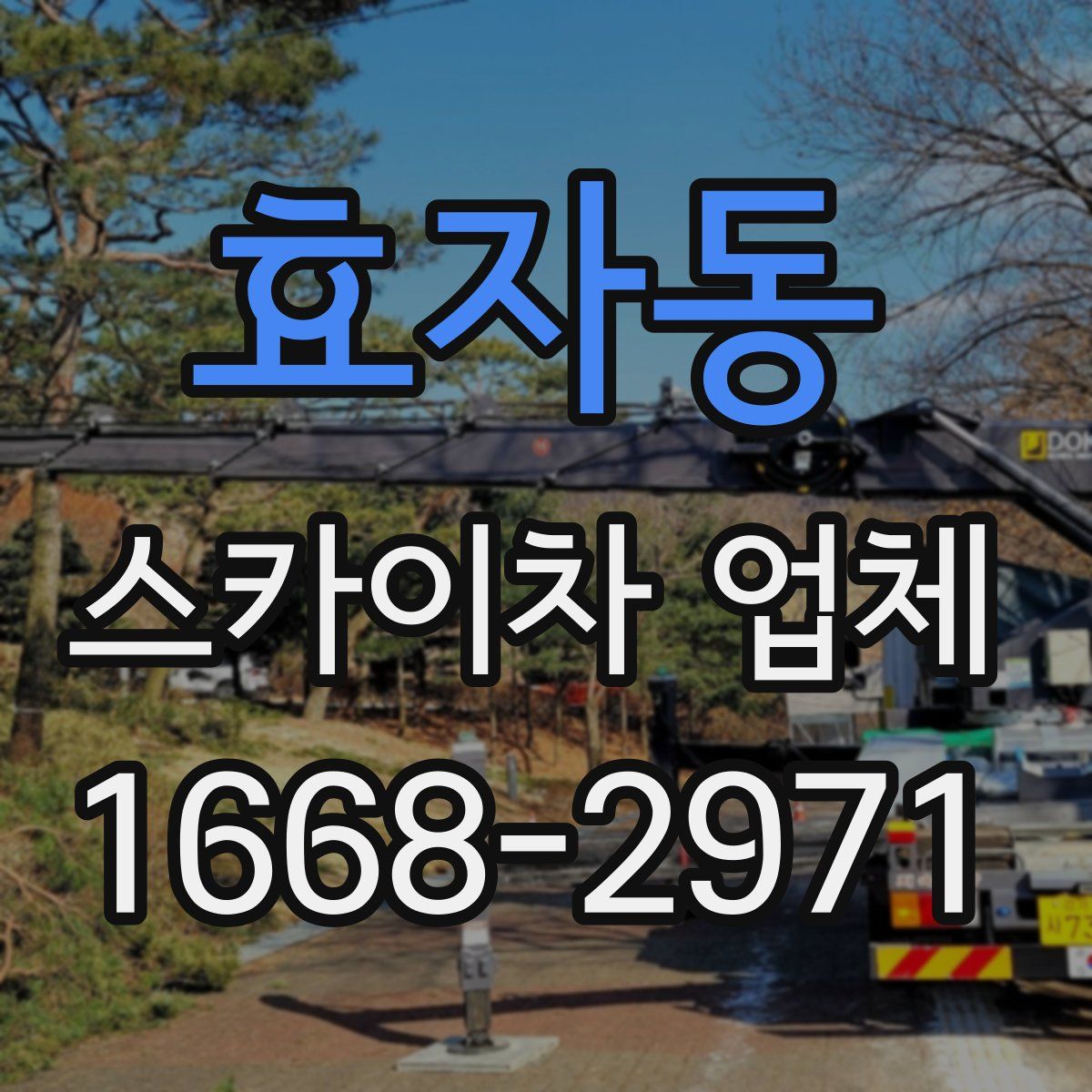 효자동 스카이차 업체