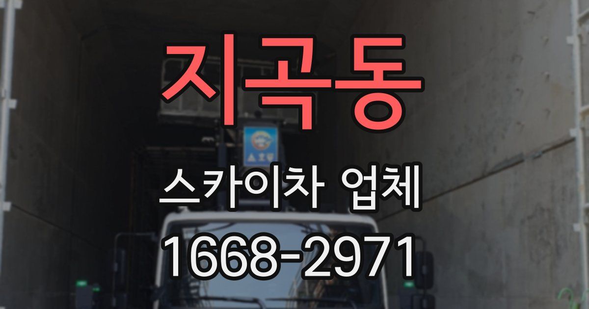 지곡동 스카이차 업체