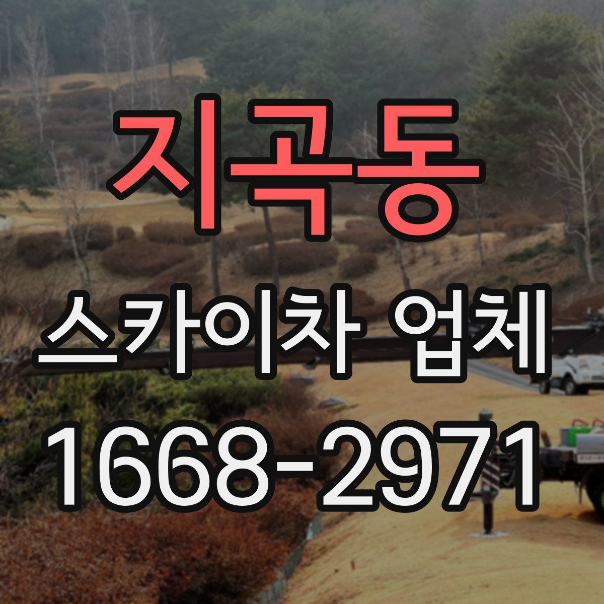 지곡동 스카이차 업체